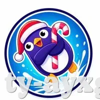 安全登录器